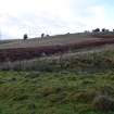 Digital photograph of rock art panel context, Scotland's Rock Art Project, Fleuchlady, Highland