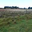 Digital photograph of rock art panel context, Scotland's Rock Art Project, Fleuchlady, Highland