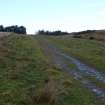 Digital photograph of rock art panel context, Scotland's Rock Art Project, Fleuchlady, Highland