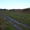 Digital photograph of rock art panel context, Scotland's Rock Art Project, Fleuchlady, Highland