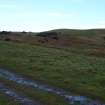 Digital photograph of rock art panel context, Scotland's Rock Art Project, Fleuchlady, Highland