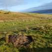 Digital photograph of rock art panel context, Scotland's Rock Art Project, Fleuchlady, Highland