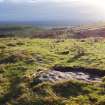 Digital photograph of rock art panel context, Scotland's Rock Art Project, Fleuchlady, Highland