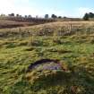 Digital photograph of panel to west, from Scotland's Rock Art Project, Fleuchlady, Highland