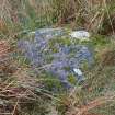 Digital photograph of panel before cleaning, from Scotland's Rock Art Project, Fodderty 1, Highland