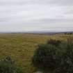 Digital photograph of rock art panel context, Scotland's Rock Art Project, Fodderty 1, Highland