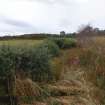 Digital photograph of rock art panel context, Scotland's Rock Art Project, Fodderty 1, Highland