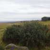 Digital photograph of rock art panel context, Scotland's Rock Art Project, Fodderty 1, Highland