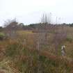 Digital photograph of rock art panel context, Scotland's Rock Art Project, Fodderty 1, Highland