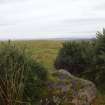 Digital photograph of rock art panel context, Scotland's Rock Art Project, Fodderty 1, Highland