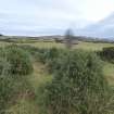 Digital photograph of panorama, Scotland's Rock Art Project, Fodderty 2, Highland