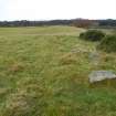 Digital photograph of panorama, Scotland's Rock Art Project, Fodderty 2, Highland