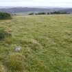 Digital photograph of panorama, Scotland's Rock Art Project, Fodderty 2, Highland