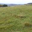 Digital photograph of panorama, Scotland's Rock Art Project, Fodderty 2, Highland