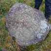 Digital photograph of rock art panel context, Scotland's Rock Art Project, Fodderty 3, Highland