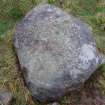 Digital photograph of rock art panel context, Scotland's Rock Art Project, Fodderty 3, Highland