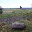 Digital photograph of panel to south, from Scotland's Rock Art Project, Fodderty 3, Highland