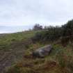 Digital photograph of panel to west, from Scotland's Rock Art Project, Fodderty 3, Highland