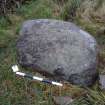 Digital photograph of rock art panel context, Scotland's Rock Art Project, Fodderty 3, Highland