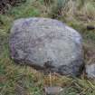 Digital photograph of rock art panel context, Scotland's Rock Art Project, Fodderty 3, Highland