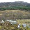 Digital photograph of rock art panel context, Scotland's Rock Art Project, Balvraid 2, Glen Elg, Highland