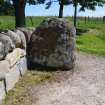 Digital photograph of panel in context without scale, from Scotland's Rock Art Project, Heights of Fodderty, Highland