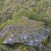 Digital photograph of panel before cleaning, Scotland's Rock Art Project, Jamestown, Highland