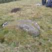 Digital photograph of panel to north, Scotland's Rock Art Project, Jamestown, Highland