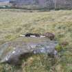 Digital photograph of panel to west, Scotland's Rock Art Project, Jamestown, Highland