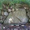 Digital photograph of rock art panel context, Scotland's Rock Art Project, Kinmylies, Highland
