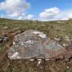 Digital photograph of panel to north-west, from Scotland's Rock Art Project, Laggan Hill 3, Highland