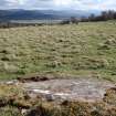 Digital photograph of panel in context without scale, from Scotland's Rock Art Project, Laggan Hill 3, Highland