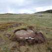 Digital photograph of panel to north, from Scotland's Rock Art Project, Laggan Hill 4, Highland