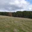 Digital photograph of rock art panel context, Scotland's Rock Art Project, Laggan Hill 4, Highland