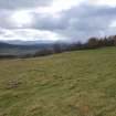 Digital photograph of rock art panel context, Scotland's Rock Art Project, Laggan Hill 4, Highland