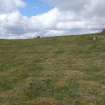 Digital photograph of rock art panel context, Scotland's Rock Art Project, Laggan Hill 4, Highland