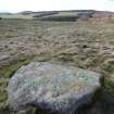 Digital photograph of rock art panel context, Scotland's Rock Art Project, Laggan Hill 8, Highland