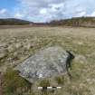 Digital photograph of panel to north, from Scotland's Rock Art Project, Laggan Hill 8, Highland