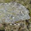 Digital photograph of panel in context with scale, from Scotland's Rock Art Project, Laggan Hill 8, Highland
