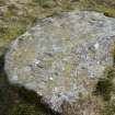 Digital photograph of rock art panel context, Scotland's Rock Art Project, Laggan Hill 8, Highland