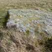 Digital photograph of rock art panel context, Scotland's Rock Art Project, Laggan Hill 8, Highland