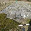 Digital photograph of rock art panel context, Scotland's Rock Art Project, Laggan Hill 8, Highland