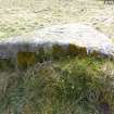 Digital photograph of rock art panel context, Scotland's Rock Art Project, Laggan Hill 8, Highland