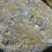 Digital photograph of rock art panel context, Scotland's Rock Art Project, Laggan Hill 8, Highland