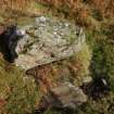 Digital photograph of panel before cleaning, from Scotland's Rock Art Project, Learable, Highland