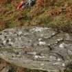 Digital photograph of rock art panel context, Scotland's Rock Art Project, Learable, Highland