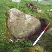 Digital photograph of rock art panel context, Scotland's Rock Art Project, Mulchaich, Highland