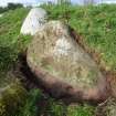 Digital photograph of rock art panel context, Scotland's Rock Art Project, Mulchaich, Highland