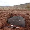 Digital photograph of rock art panel context, Scotland's Rock Art Project, Nine Holed Stone, Highland