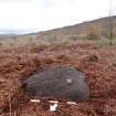 Digital photograph of rock art panel context, Scotland's Rock Art Project, Nine Holed Stone, Highland